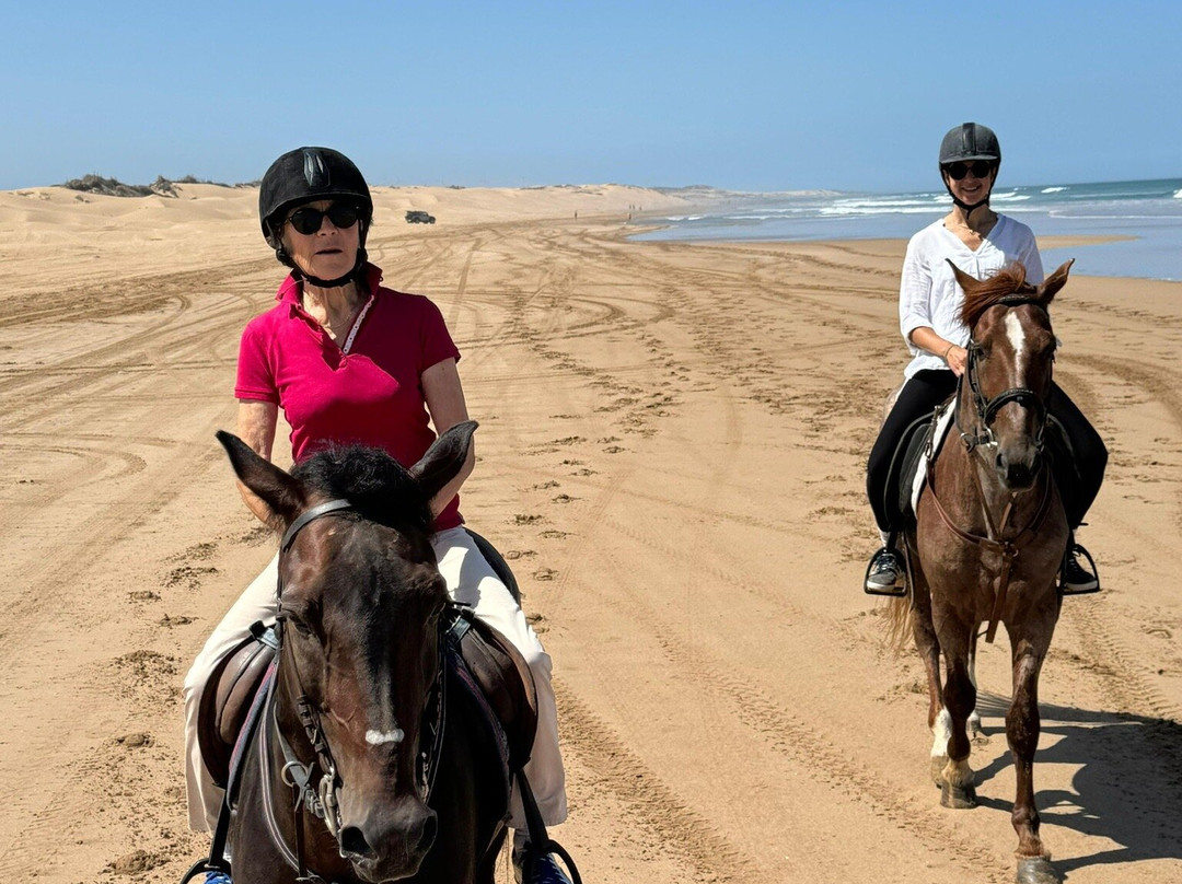 Ranch Aftass-索维拉必去景点