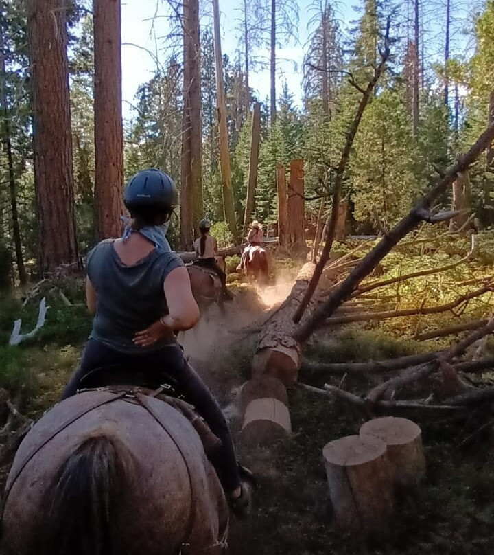Yosemite Trails Horseback Adventures-菲什营必去景点