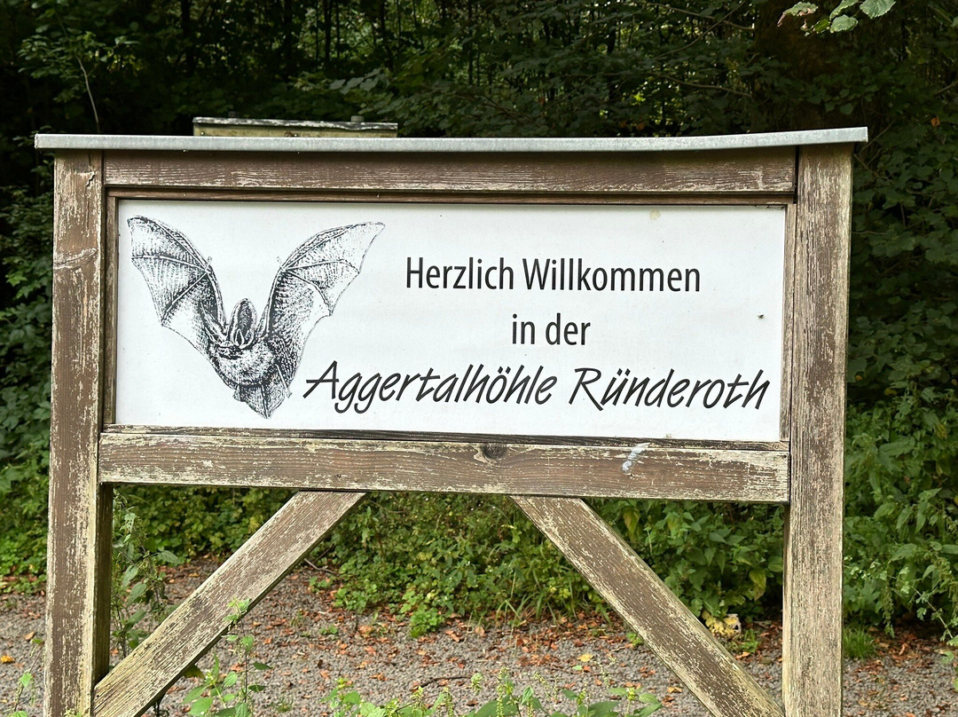 Aggertalhöhle Ründeroth景点图片
