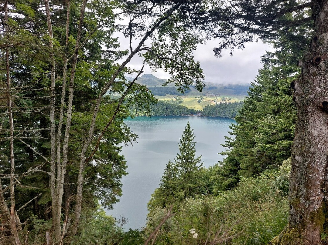 Lac Pavin景点图片