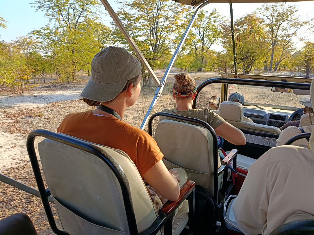 African Joined Tours and Safaris-李文斯顿必去景点