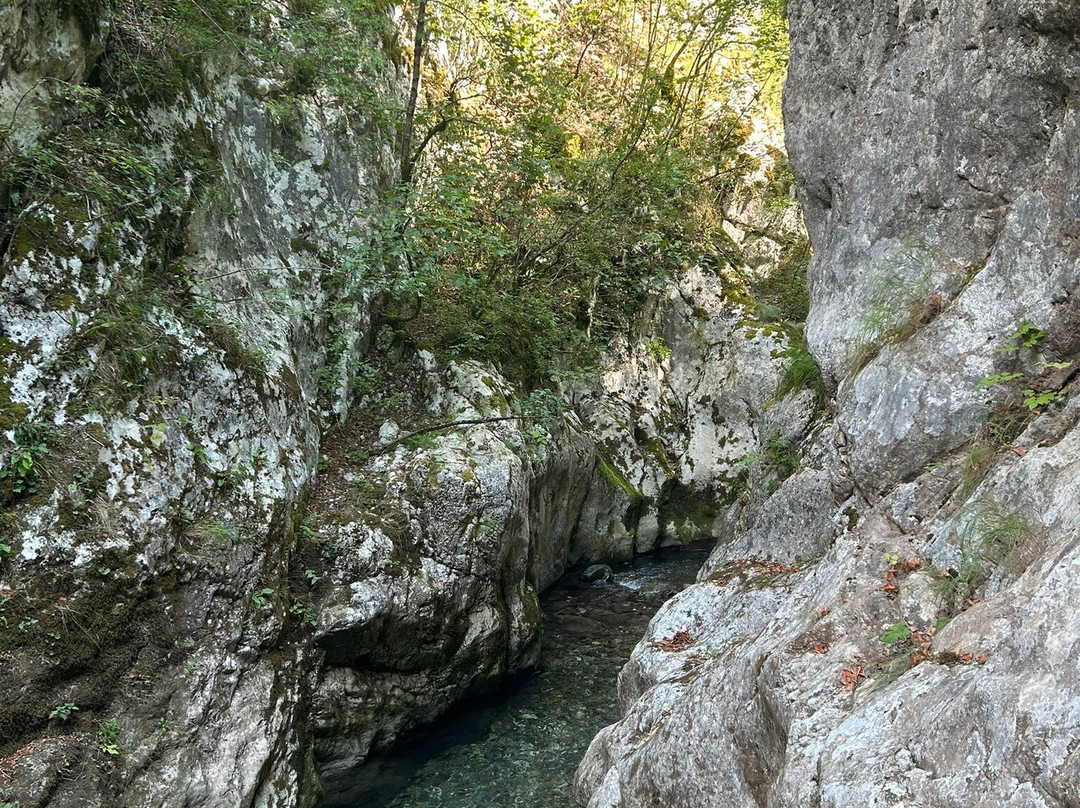 Outdoor Tara景点图片