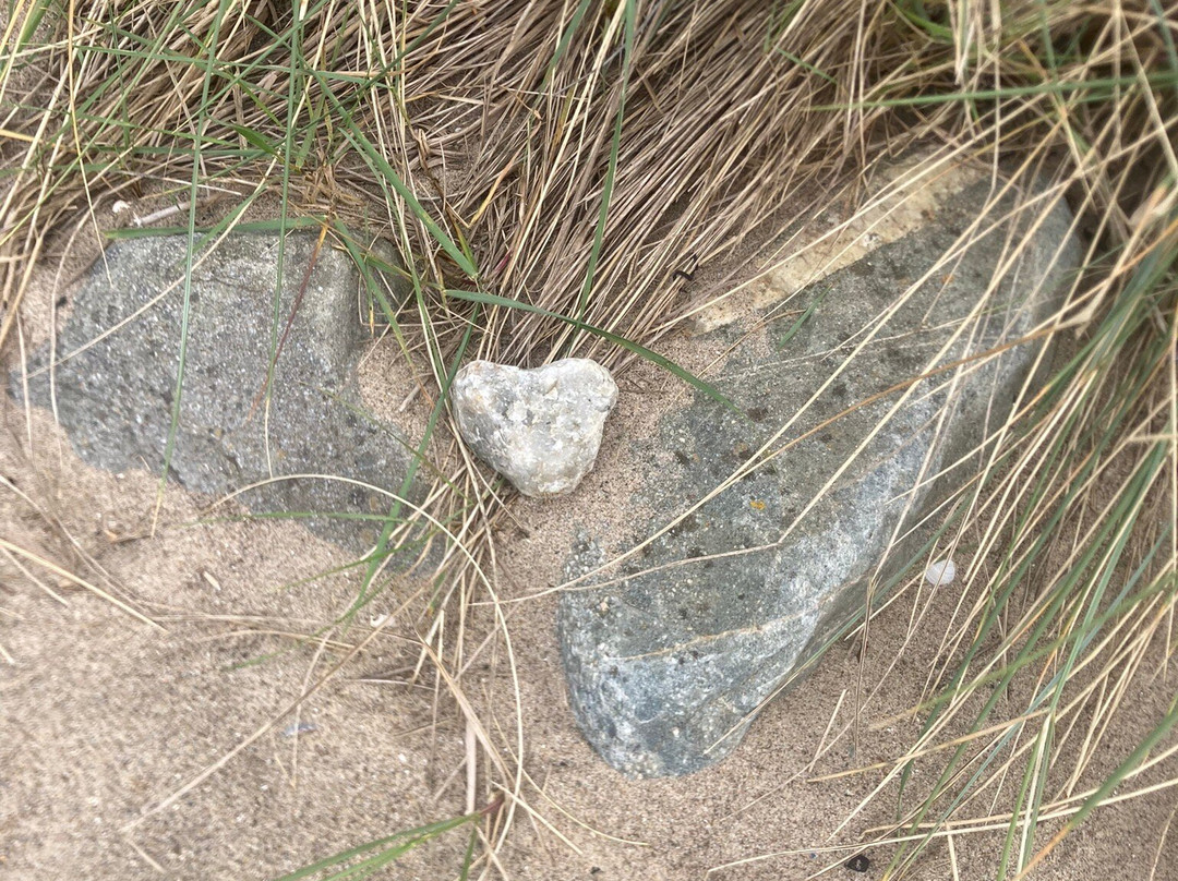 Harlech Beach景点图片