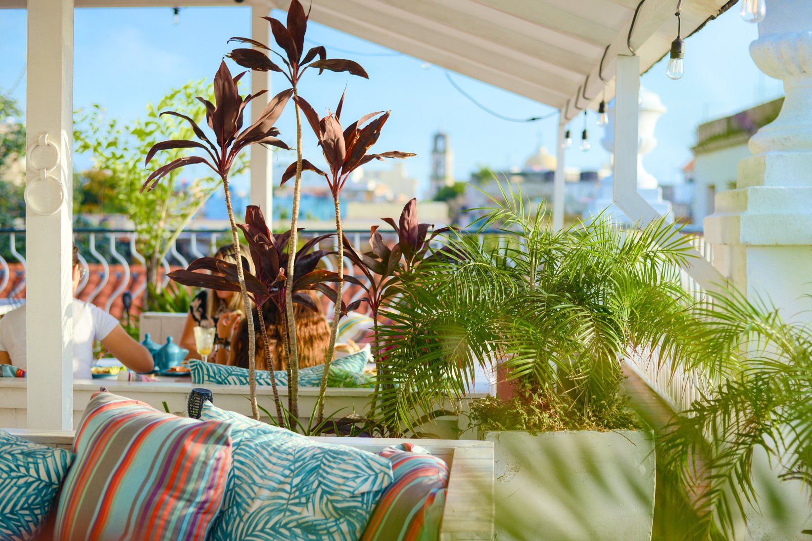 Loft Habana Boutique Hotel-餐饮