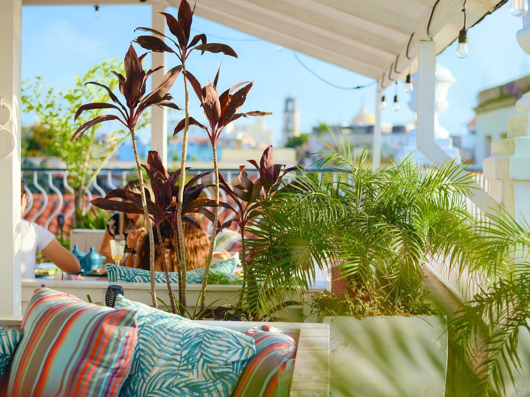 Loft Habana Boutique Hotel主图