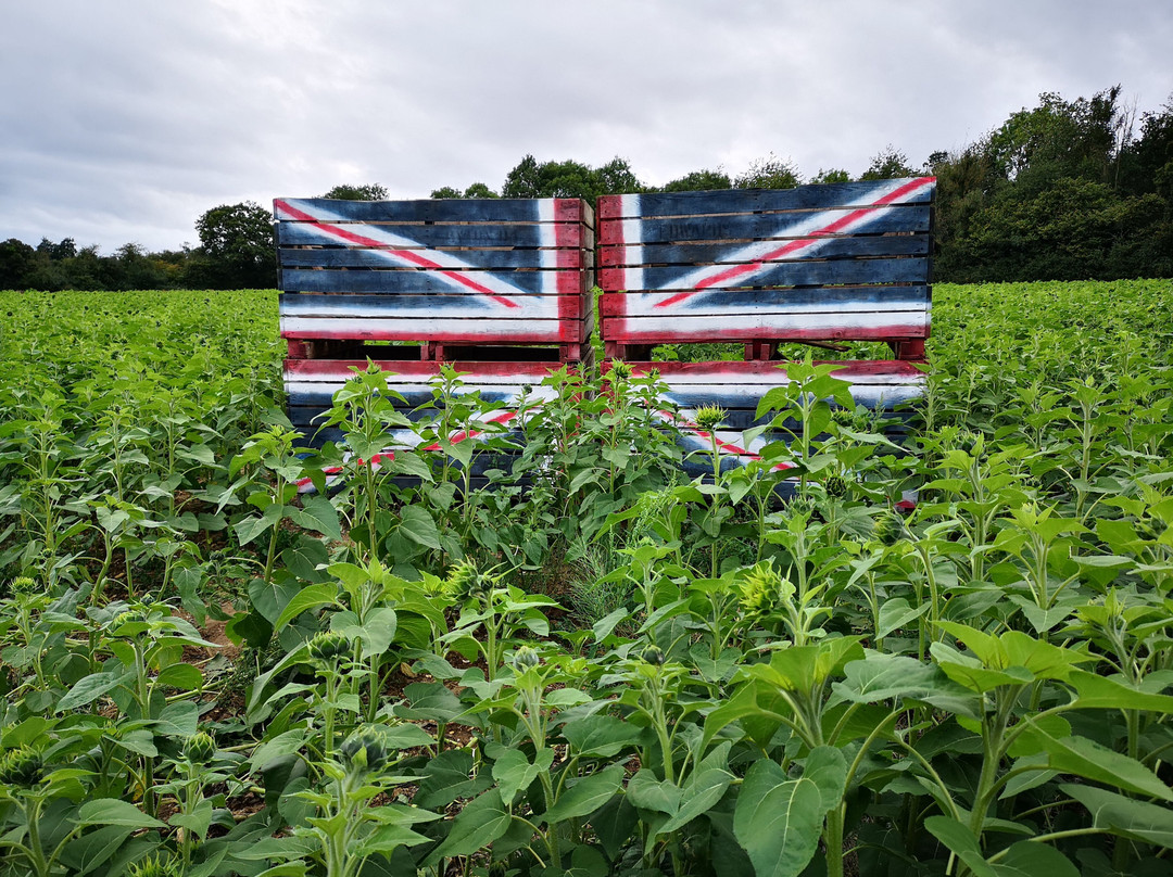 The Pop Up Farm-Redbourn必去景点