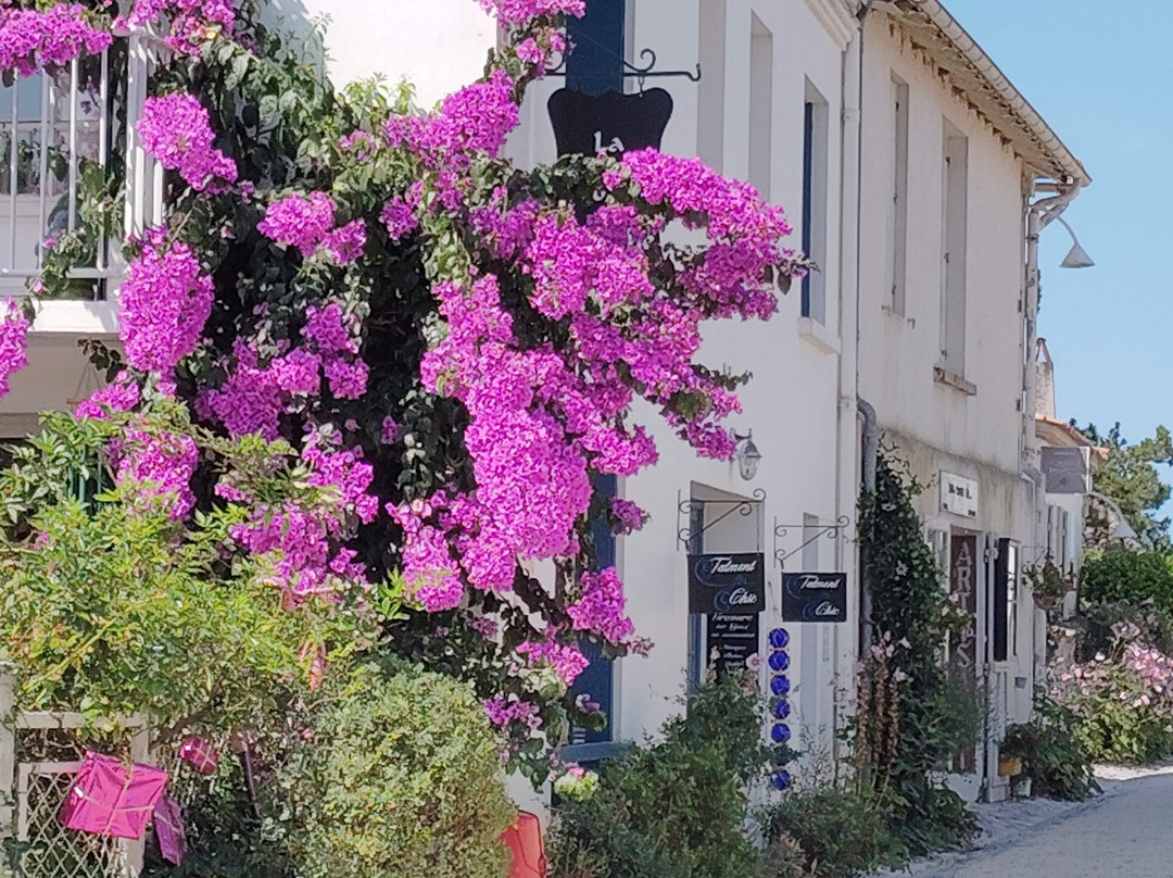 Village Fortifié De Talmont Sur Gironde景点图片