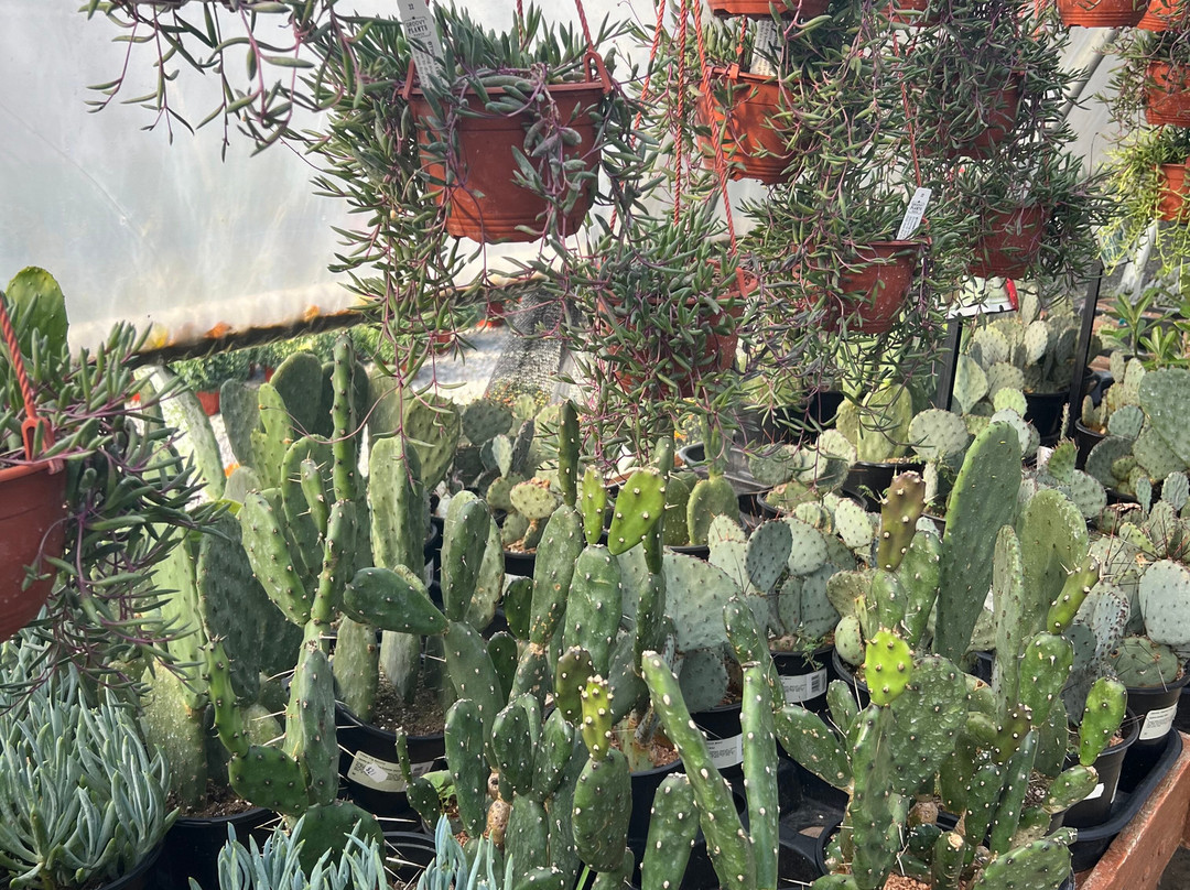 Groovy Plants Ranch景点图片