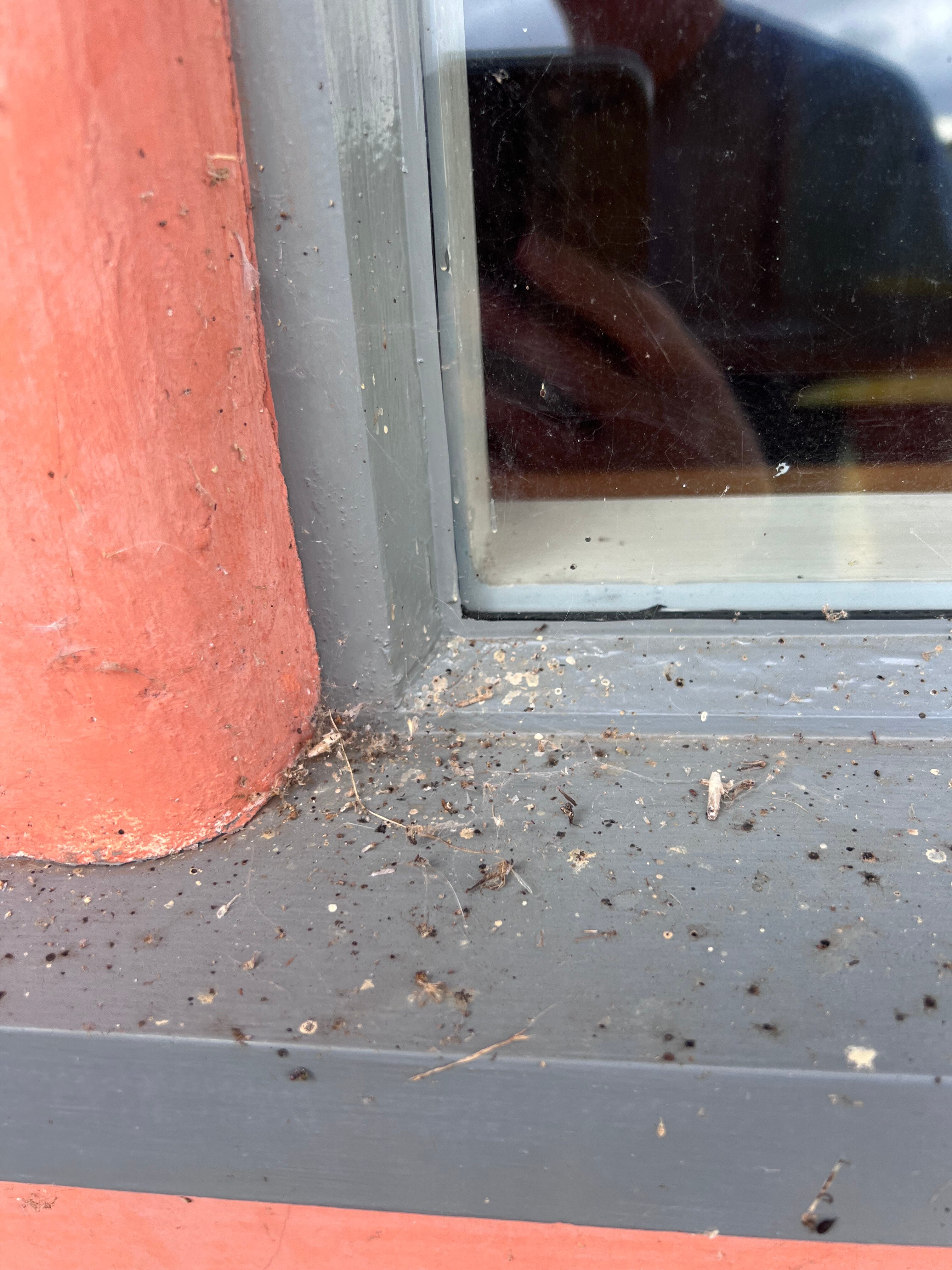 Wilderness Reserve-客卧