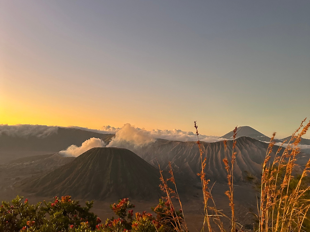 Tour Package Bromo Sunrise (by Erwin)-玛琅必去景点