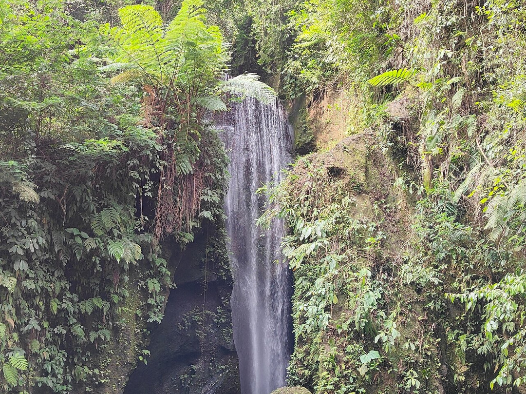 Sarita Bali Tour景点图片