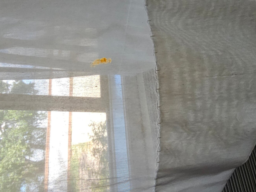 Quality Inn & Suites主图