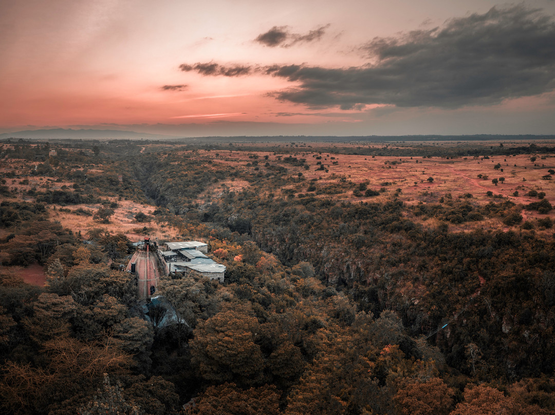 Kitengela Glass - Studio-内罗毕必去景点