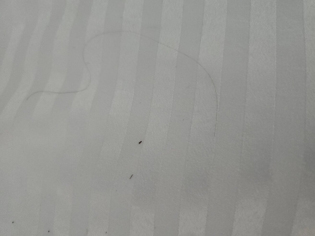 克利夫兰希尔顿恒庭酒店主图