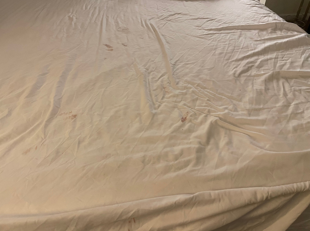 SureStay By Best Western Williams主图