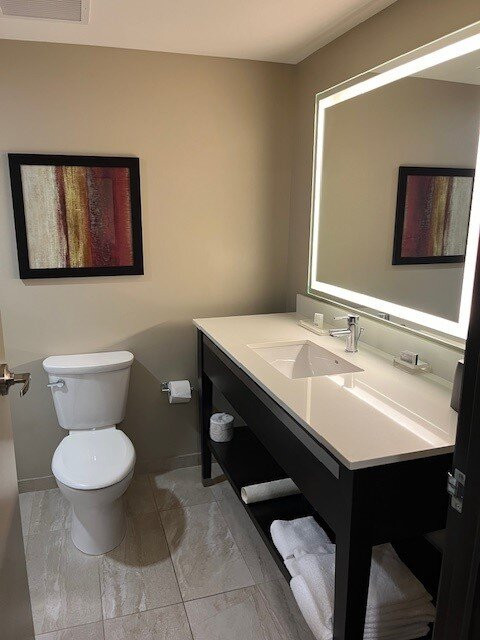 Holiday Inn Chicago - Schaumburg By IHG主图