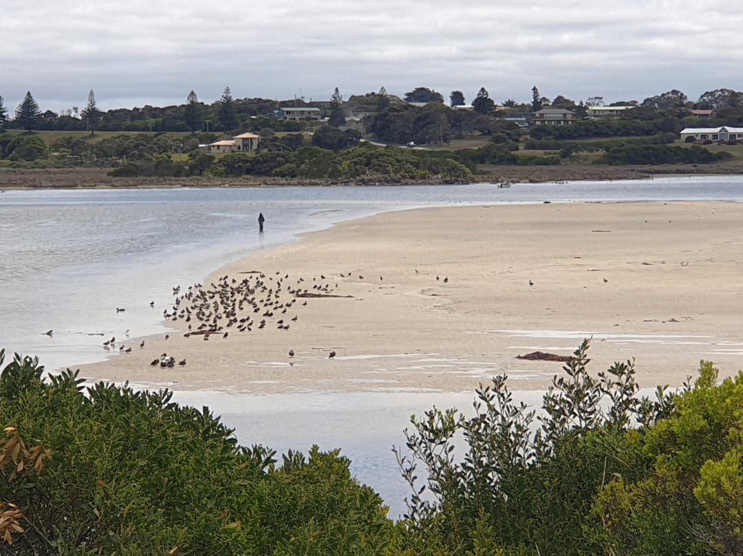 Estuary Beach景点图片