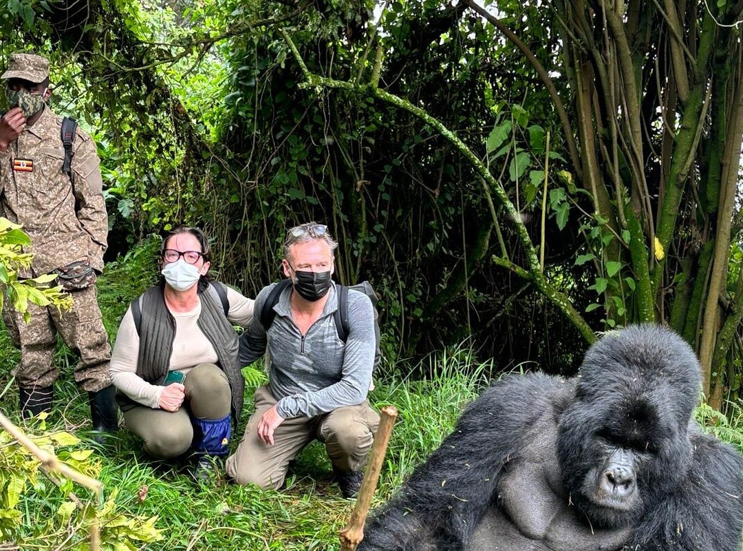 Munda Africa Adventure | Gorilla Trekking & Wildlife Safaris