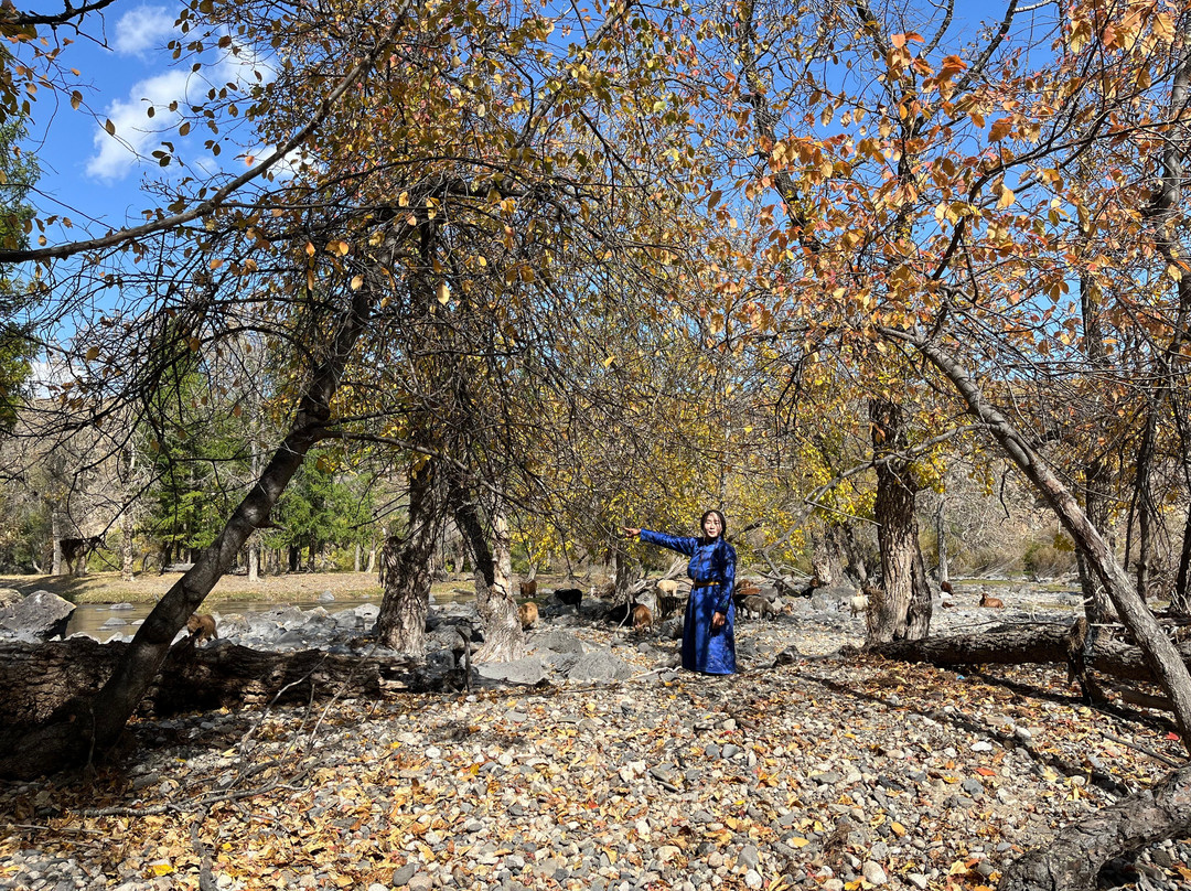 Sunpath Mongolia景点图片