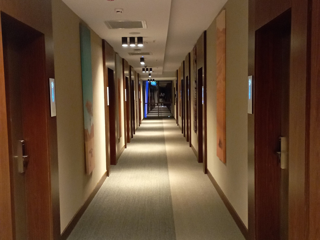 德德曼卡斯塔莫努公园酒店主图