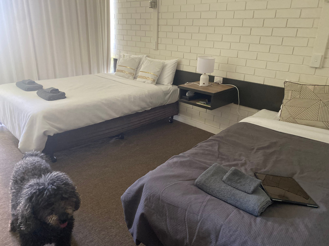 Sandpipers at Millicent主图