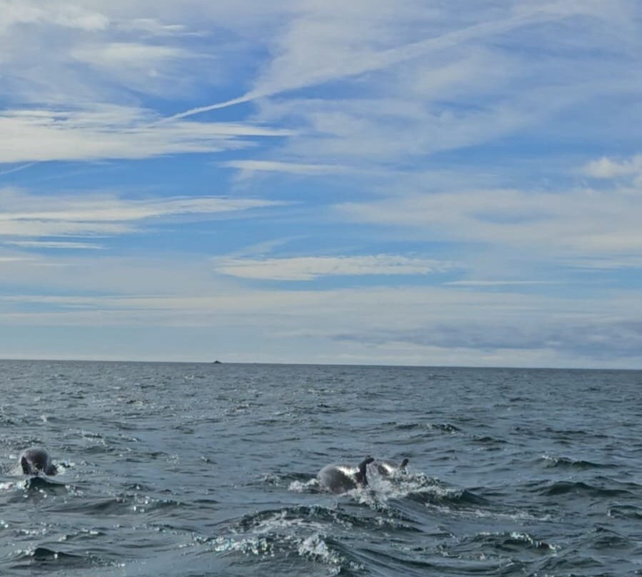 Oceaneye-阿尔布赞拉必去景点