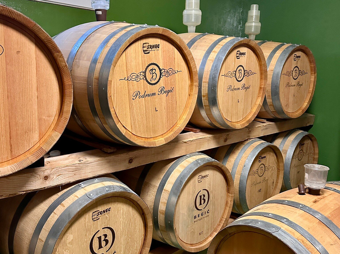 Wine cellar Begic景点图片