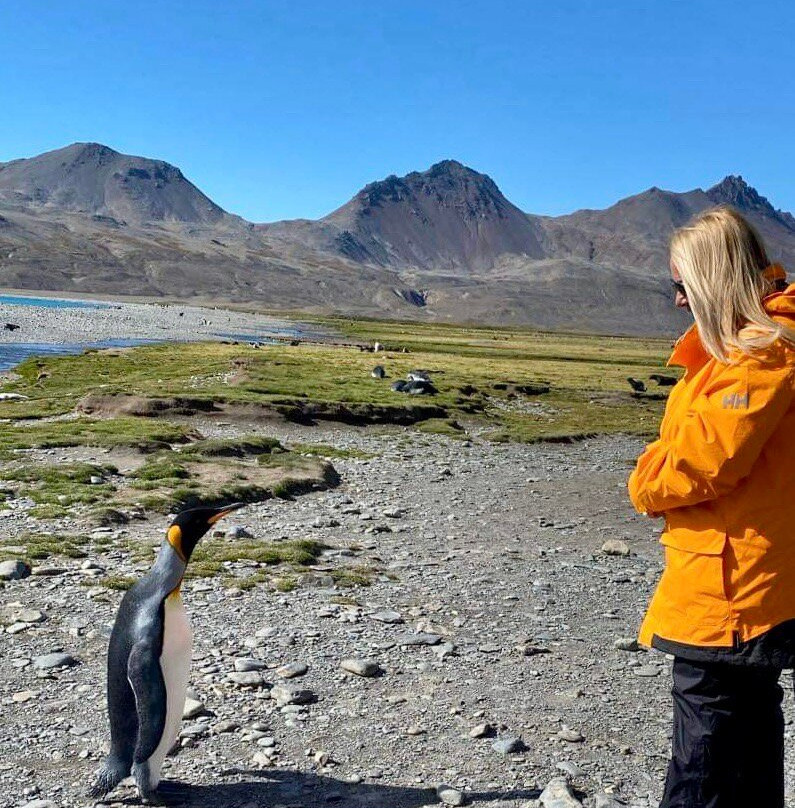 South Georgia Museum-Grytviken必去景点