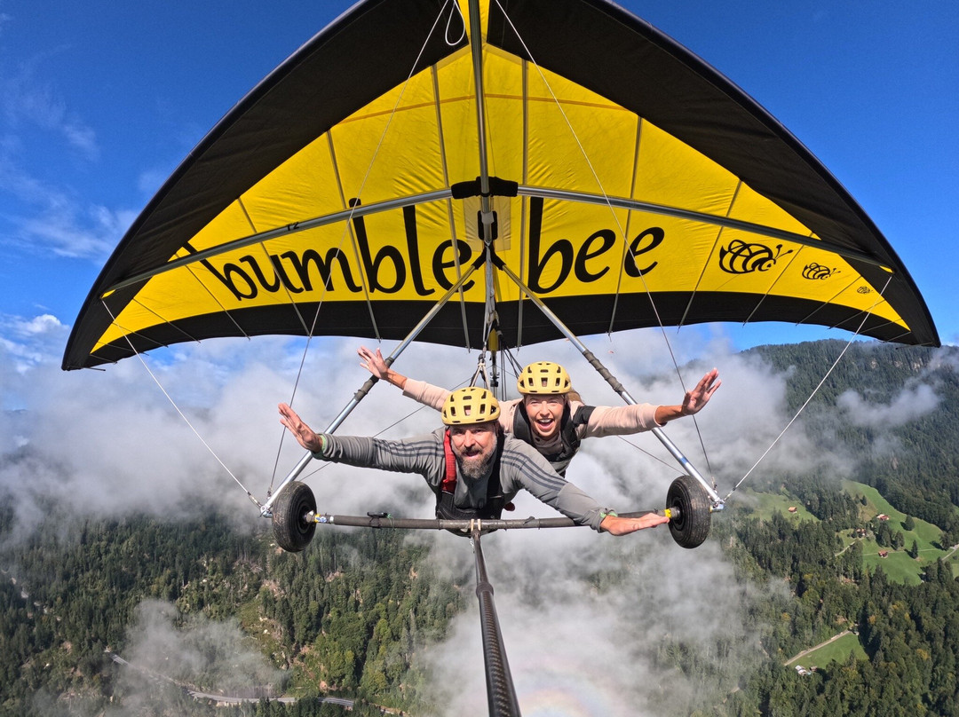BumbleBee Hang Gliding Interlaken-马滕必去景点