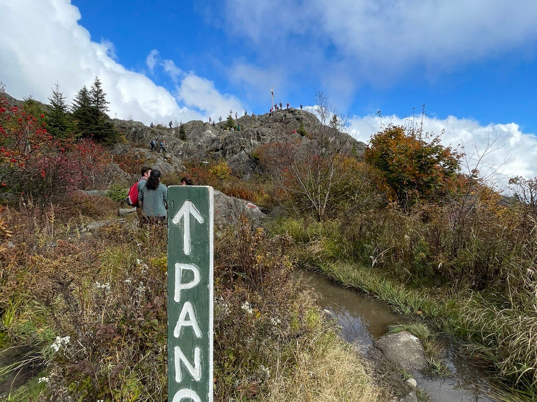 Parc Regional du Mont Ham景点图片