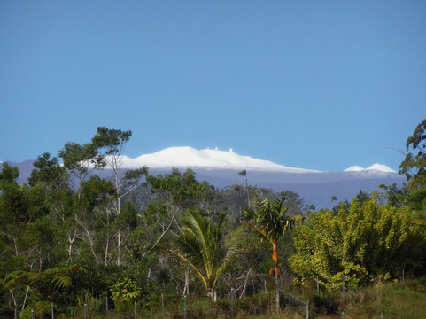 Mauna Kea Cloudforest Bioreserve-希洛必去景点