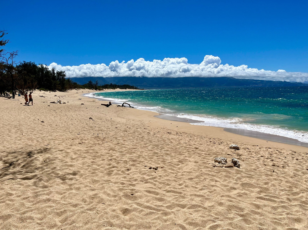 HA Baldwin Beach Park-芭雅必去景点