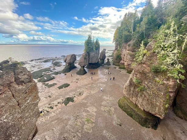 Innisfree Bed and Breakfast Hopewell Rock-官方