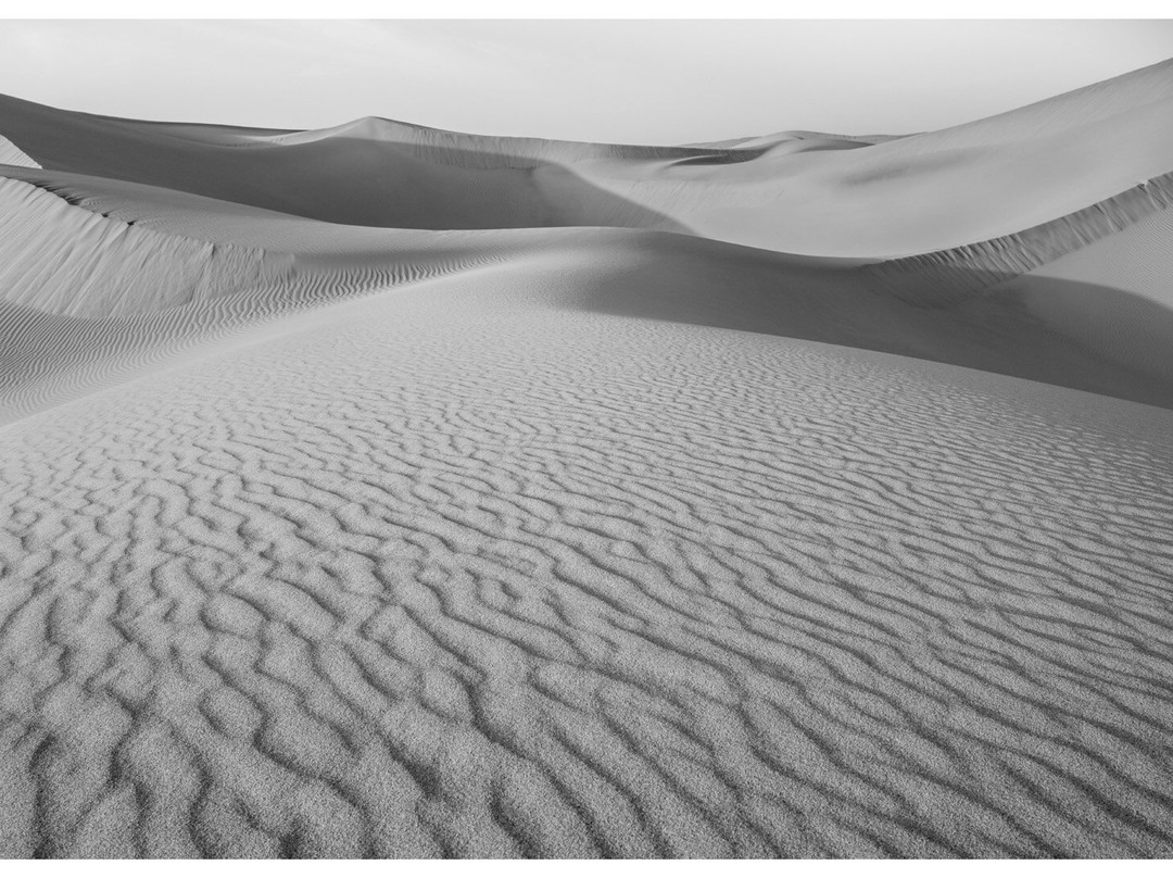 Rosa Frei Morocco Photo Tours景点图片