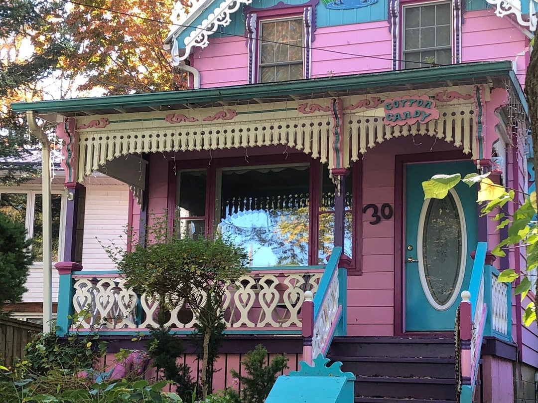 The Painted Ladies of Grimsby景点图片