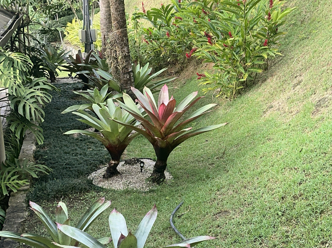 Pousada Recanto de Paraty主图