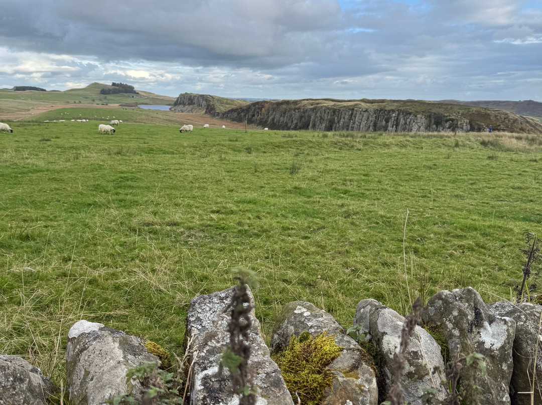 Peter Carney: Hadrian's Wall Guide景点图片