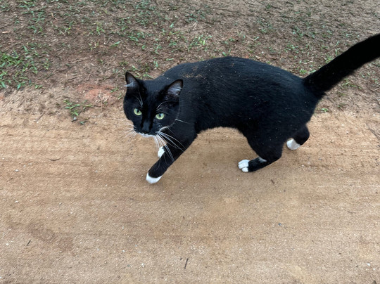 Spazio di Garda主图