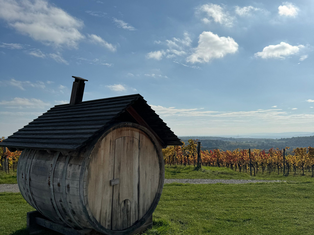 Weinblick Weingut Grafinger主图
