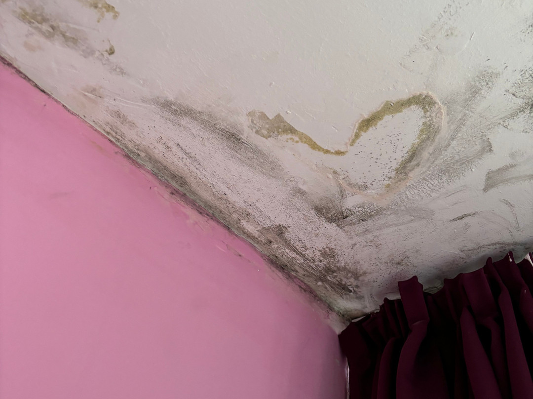 Pension Pardellas主图