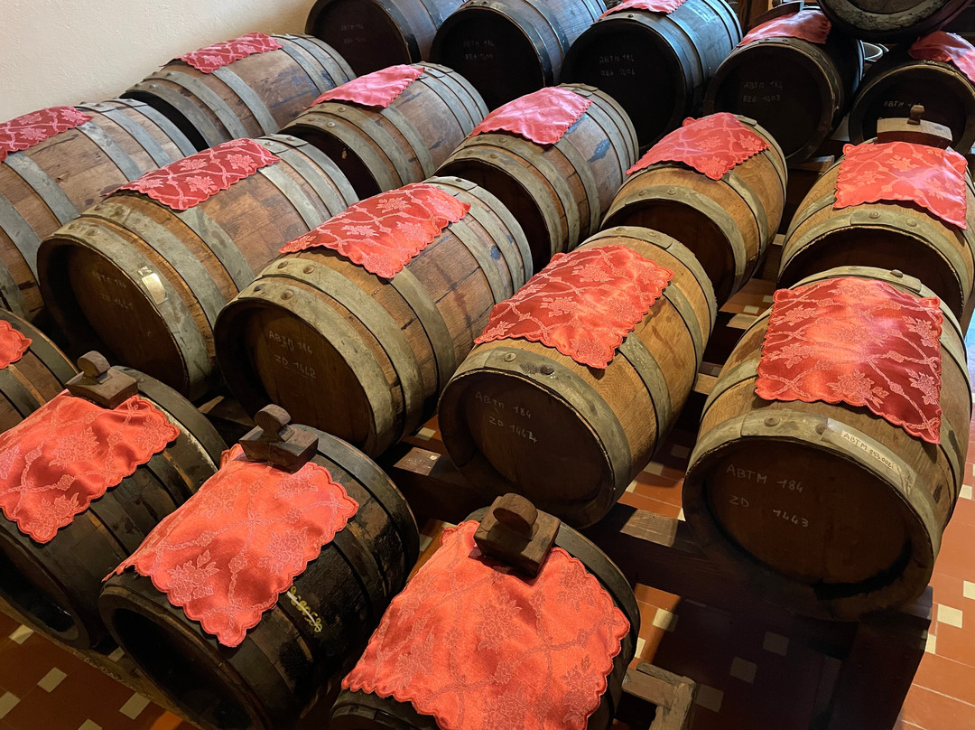 Acetaia Gambigliani Zoccoli-Castelfranco Emilia必去景点