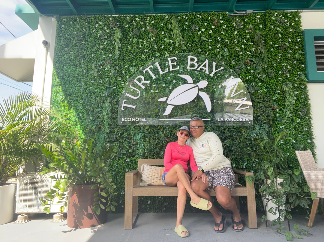 Turtle Bay Inn主图