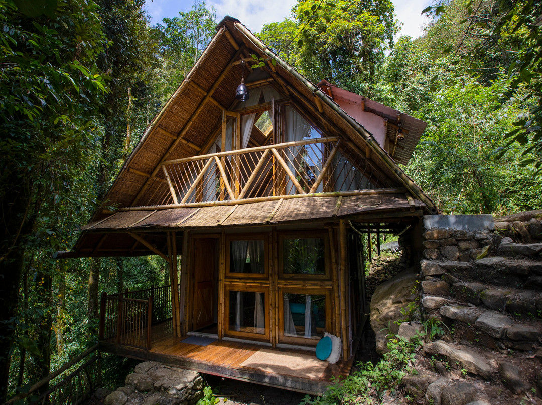 Tieedi Forest Dwellings