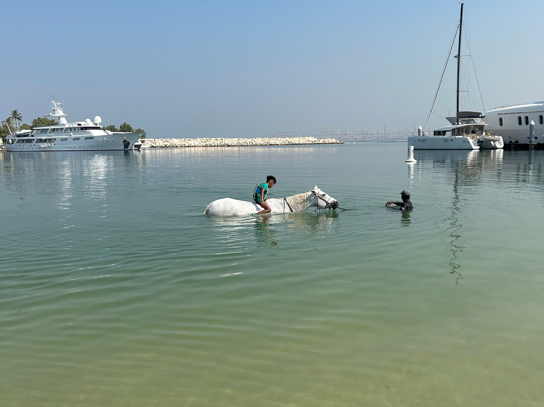 JA Equestrian Centre-杰贝阿里必去景点