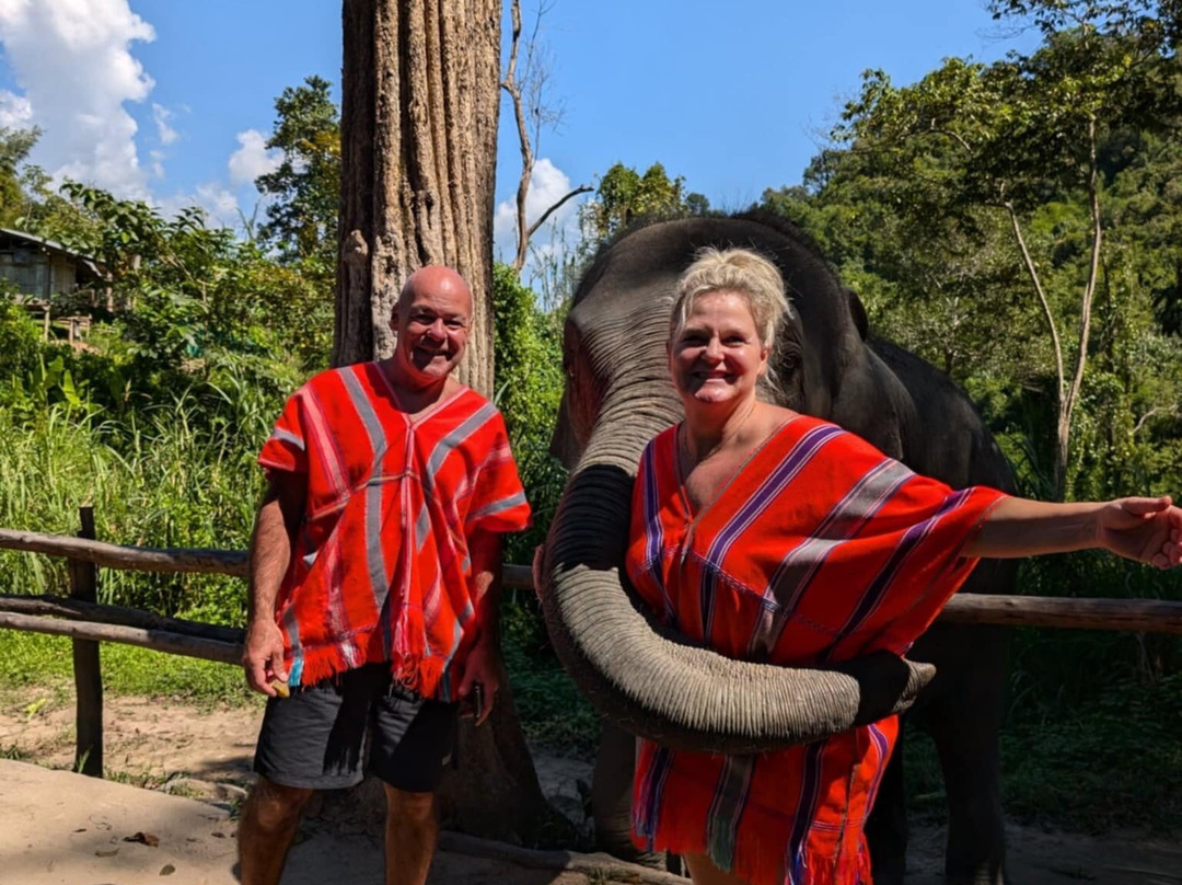 Chiangmai Elephant Sanctuary-清迈必去景点
