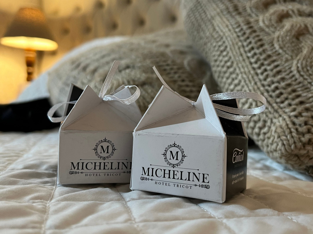 Micheline Hotel Tricot主图