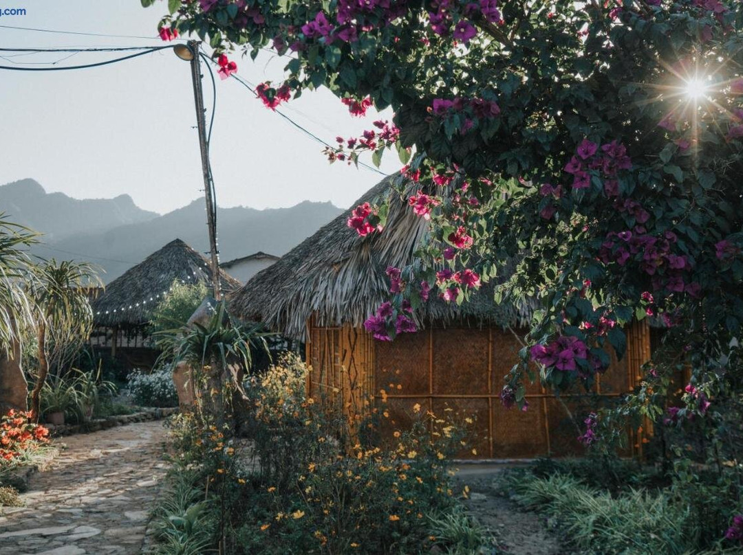 Sakura House - Mộc Châu - Homestay yên bình giữa đồi chè