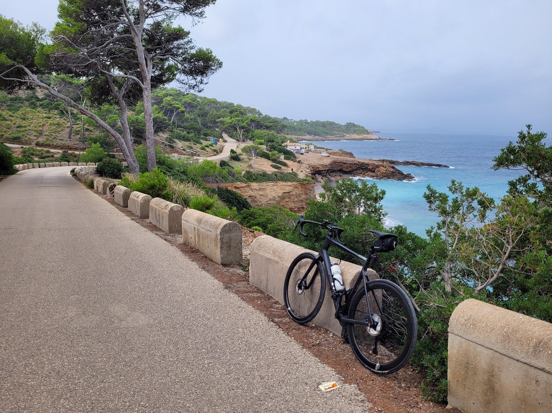 Radvermietung Bikefriends Schon景点图片