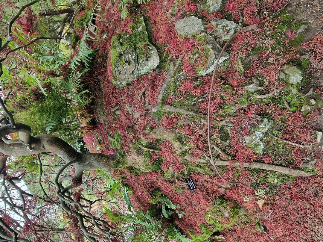 Emmetts Garden-Sevenoaks必去景点