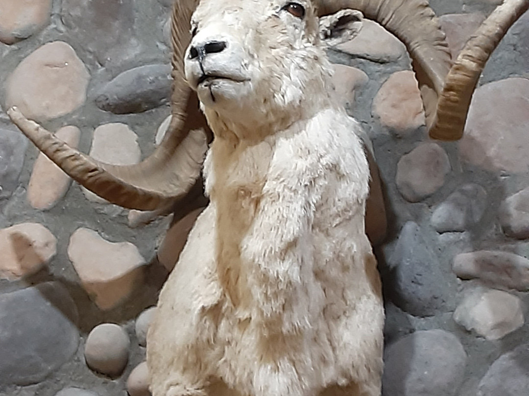 Mohave Museum of History and Arts-金曼必去景点